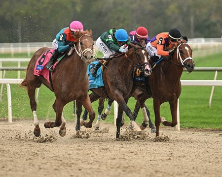The Puma rallies outside to win the Tampa Bay Derby at Tampa Bay Downs