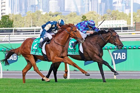 Racing at Flemington Racecourse