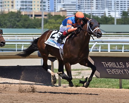 Grande wins the Ghostzapper Stakes at Gulfstream Park