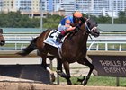 Grande wins the 2026 Ghostzapper Stakes at Gulfstream Park