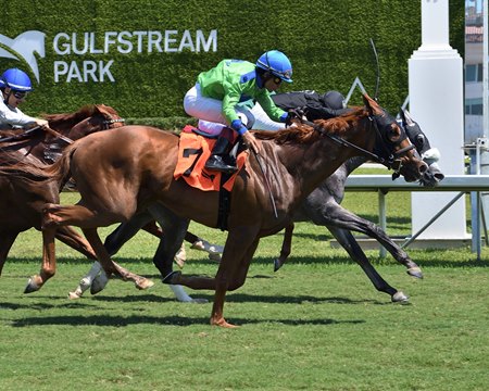 X Y Prime (inside), cataloged as Hip 2 in the Fasig-Tipton April Digital Sale, wins an allowance optional claiming race at Gulfstream Park