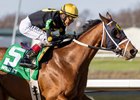 Willy D's and John Velazquez win the Gr. 3  Twinspires Kentucky Cup Classic S. at Turfway in Florence Kentucky.