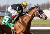 Willy D's and John Velazquez win the Gr. 3  Twinspires Kentucky Cup Classic S. at Turfway in Florence Kentucky.