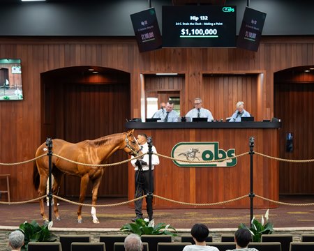 The Drain the Clock colt consigned as Hip 132 in the ring at the OBS March Sale