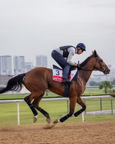 Meydaan exercises March 18 at Meydan