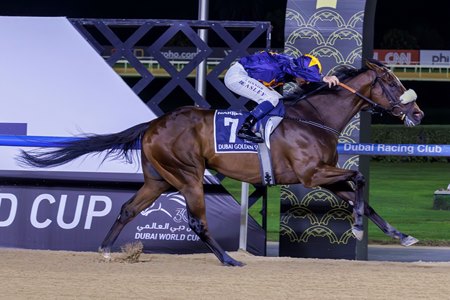 Dark Saffron wins a second straight Dubai Golden Shaheen at Meydan Racecourse