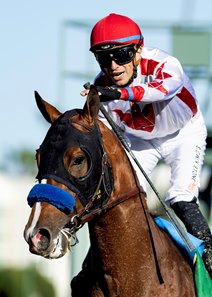 Potente after winning the San Felipe Stakes at Santa Anita Park