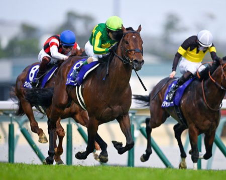Satono Reve wins the Takamatsunomiya Kinen at Chukyo Racecourse