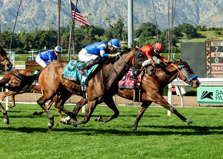 Take A Breath, inside, edges Resolve to win the Santa Ana Stakes at Santa Anita Park