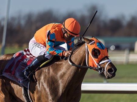Lorelei Lee wins the Bourbonette Oaks at Turfway Park