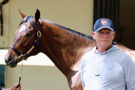 Ciaran Dunne at the OBS March Sale