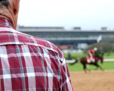 A quick heart trace taken during a warm-up trot could identify racehorses at risk of cardiac arrhythmias
