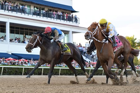 Commandment (outside) wins the Florida Derby at Gulfstream Park