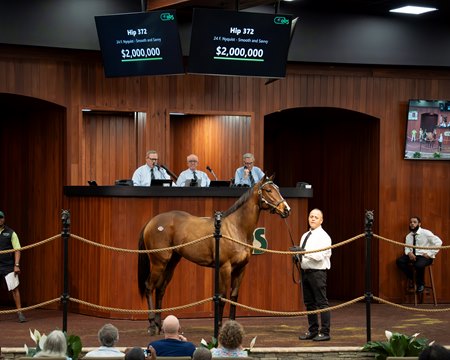 The Nyquist filly, consigned as Hip 372 in the ring at the OBS March Sale