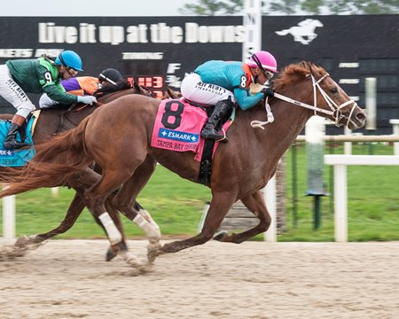 The Puma wins the Tampa Bay Derby at Tampa Bay Downs