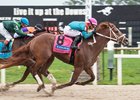 The Puma wins the 2026 Tampa Bay Derby at Tampa Bay Downs