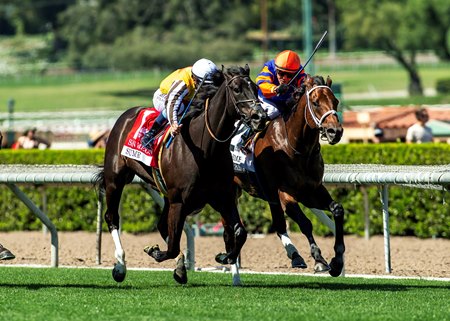 Sumter (outside) and Quereme Pass battle in the stretch of the San Simeon Stakes at Santa Anita Park