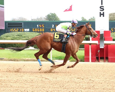 Tejano Twist captures an allowance-optional claiming race March 1 at Oaklawn Park