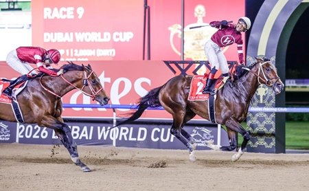 Jose Ortiz celebrates aboard Magnitude after their victory in the Dubai World Cup at Meydan Racecourse