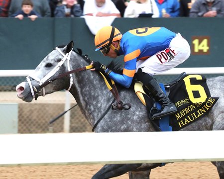 Haulin Ice wins the Matron Stakes at Oaklawn Park