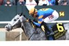 Haulin Ice wins the 2026 Matron Stakes at Oaklawn Park