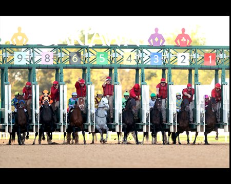 The field breaks from the gate in the Arkansas Derby at Oaklawn Park