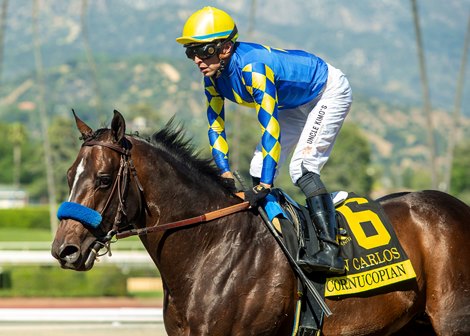 Photo: bloodhorse.com