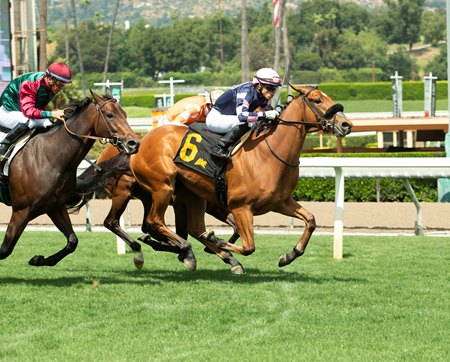 Sharons Pharoah wins a maiden special weight at Santa Anita Park