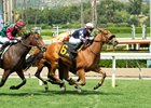 Sharons Pharoah, Maiden Win, Santa Anita Park, March 29 2026