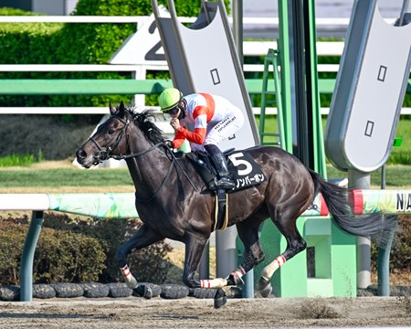 Maxfield colt Danon Bourbon wins the Fukuryu Stakes at Nakayama Racecourse