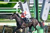 Danon Bourbon wins the 2026 Fukuryu Stakes at Nakayama Racecourse