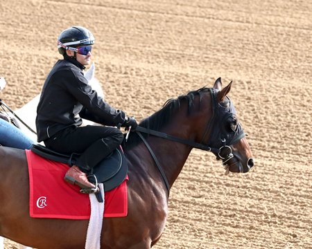 Silent Tactic trains at Oaklawn Park