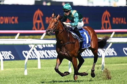 Espionage takes the 2024 Kindergarten Stakes at Randwick Racecourse