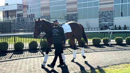 Medici schools in the paddock at Turfway Park