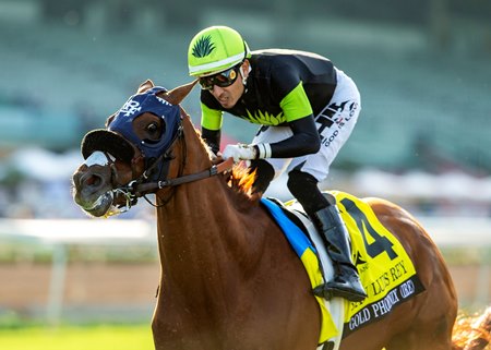 Gold Phoenix wins the San Luis Rey Stakes at Santa Anita Park