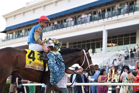 Commandment after winning the Florida Derby at Gulfstream Park