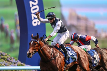 Invincible Ibis wins the Hong Kong Derby at Sha Tin Racecourse