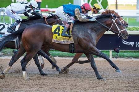 Commandment edges The Puma and Chief Wallabee in the Florida Derby