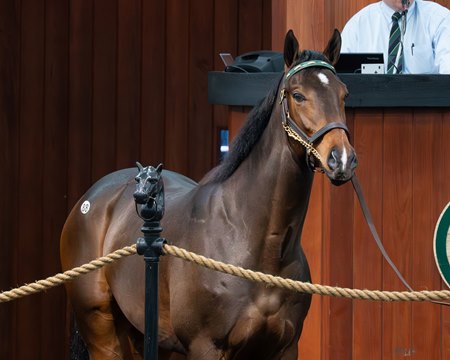 Hip 88, a colt by Nyquist, is the first to sell for more than $1 million during the OBS March Sale