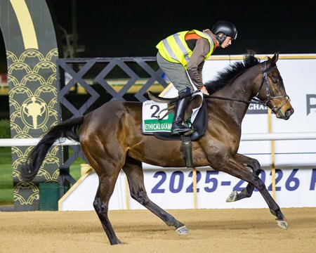 Ethical Diamond trains at Meydan Racecourse