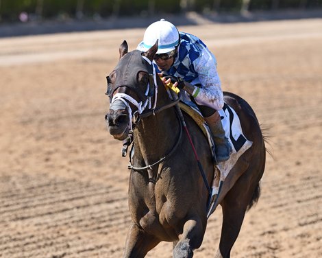 Navajo Warrior Wins Pimlico Special in Stakes Debut