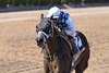 Navajo Warrior, AOC, Gulfstream Park, March 21 2026