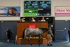 2026 Magic Millions Adelaide Yearling Sale, Lot 67
