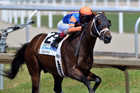Grande wins the Ghostzapper Stakes at Gulfstream Park