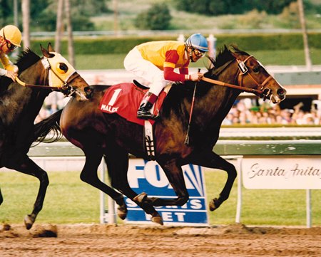 Malek wins the four-horse 1998 Santa Anita Handicap at Santa Anita Park