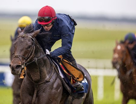 Gstaad trains at the Curragh