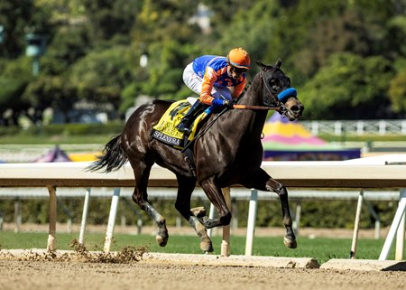 Splendora cruises to victory in the B. Wayne Hughes Beholder Mile Stakes at Santa Anita Park