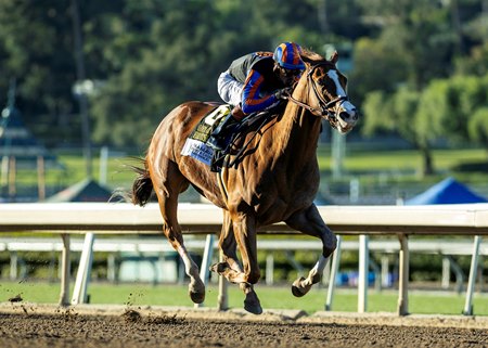 British Isles wins the Santa Anita Handicap at Santa Anita Park