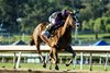 British Isles and jockey Diego Herrera win the Grade I, $300,000 Santa Anita Handicap, Saturday, March 7, 2026 at Santa Anita Park, Arcadia CA,
© BENOIT PHOTO