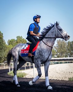 Hit Show March 16 at Meydan Racecourse